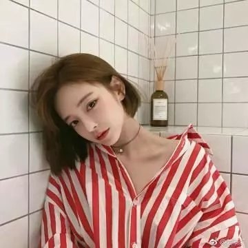 菊石